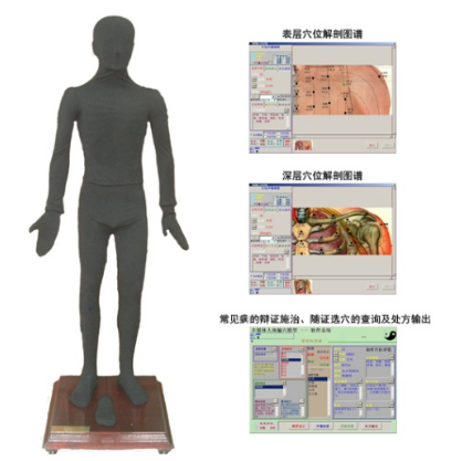 多媒體按摩點穴電子人體模型